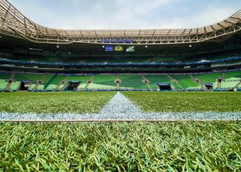 Jogadores fazem campanha contra gramado sintético no Brasil; Palmeiras reage