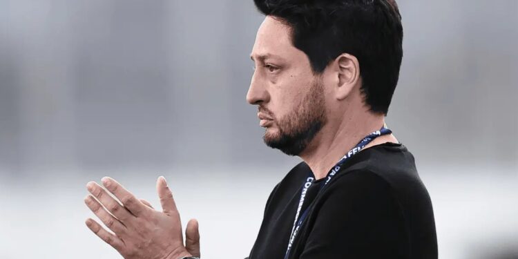 Arthur Elias celebra evolução do Brasil após goleada na Copa América