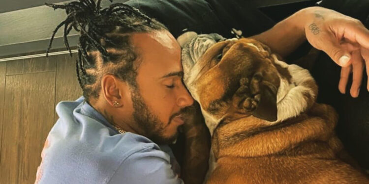 Pilotos e equipes da F1 lamentam morte de Roscoe e prestam solidariedade a Hamilton