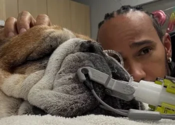 Hamilton pede orações a Roscoe após parada cardíaca: “Não sabemos se vai acordar”