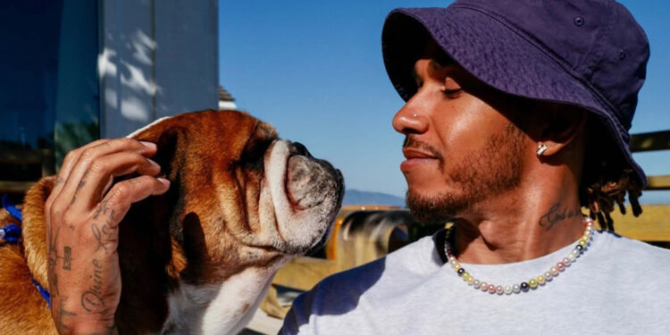 Hamilton agradece apoio após morte de Roscoe: “Emocionante ver o quanto ele tocou as pessoas”